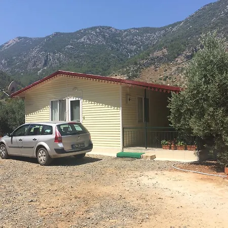 Yesilcam Evleri 別荘 *